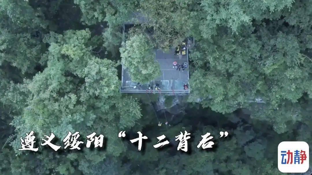 济宁太白湖新区行政审批服务局：以学促干，提升审批质效
