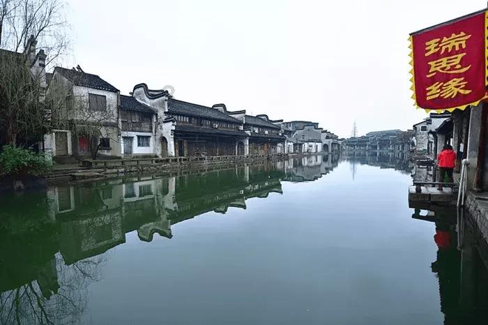 僵尸女友爱爬树